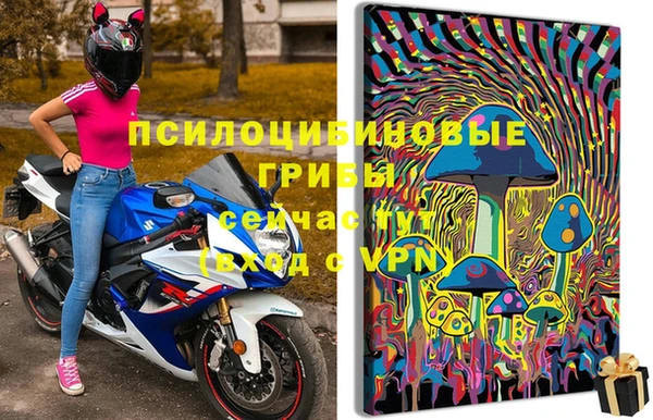 мдма Белокуриха