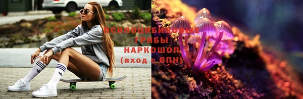 мдма Белокуриха